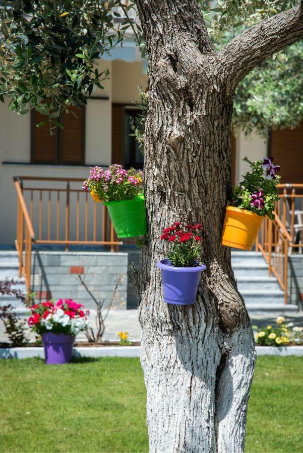 Holiday Villa Thassos Koinira Exterior photo